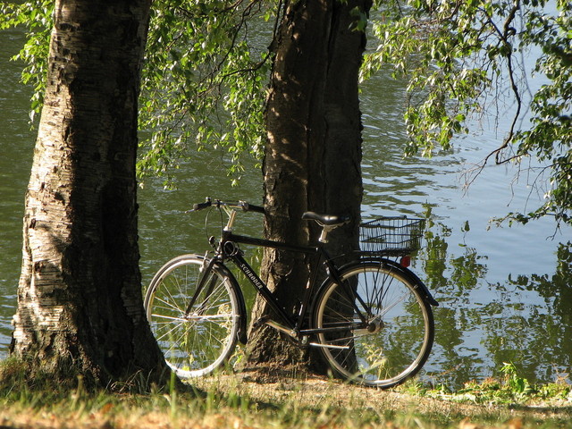 Elektrokola